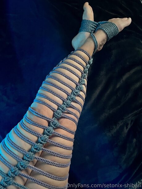 Setonix Shibari 裸の女優 写真