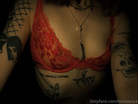 Toxicsonya 裸のモデル 写真