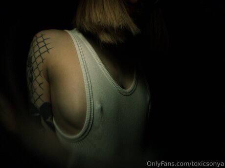 Toxicsonya 限定モデル 写真