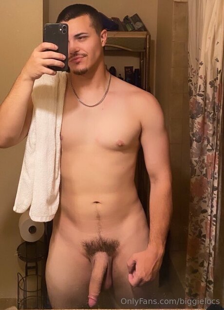 Biggielocs 完璧なスター 写真