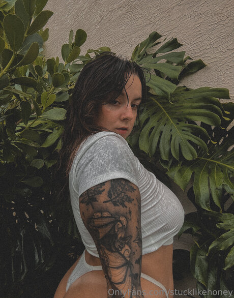 Stucklikehoney 美しいスター 写真