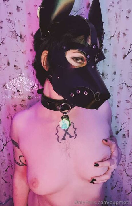 Pupmoth 素敵なポルノスター 写真