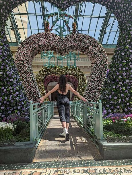 Littlefoxxyboo ポルノスター 写真
