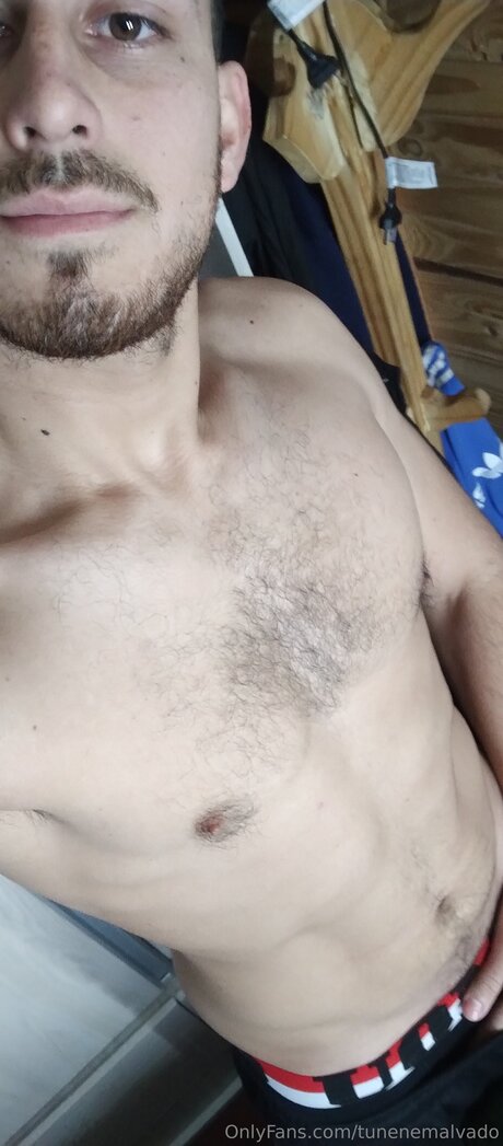 Tunenemalvado 高品質のスター 写真