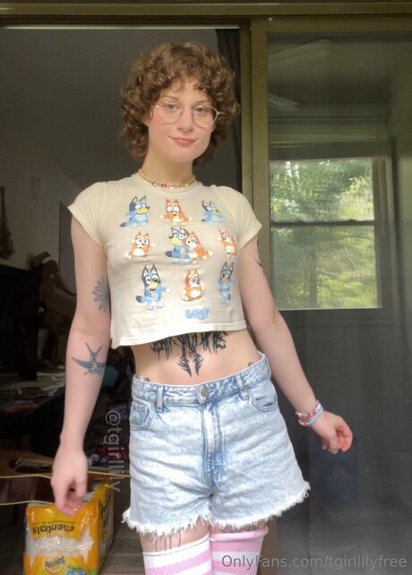 Tgirllilyfree ポルノスター ホット 写真