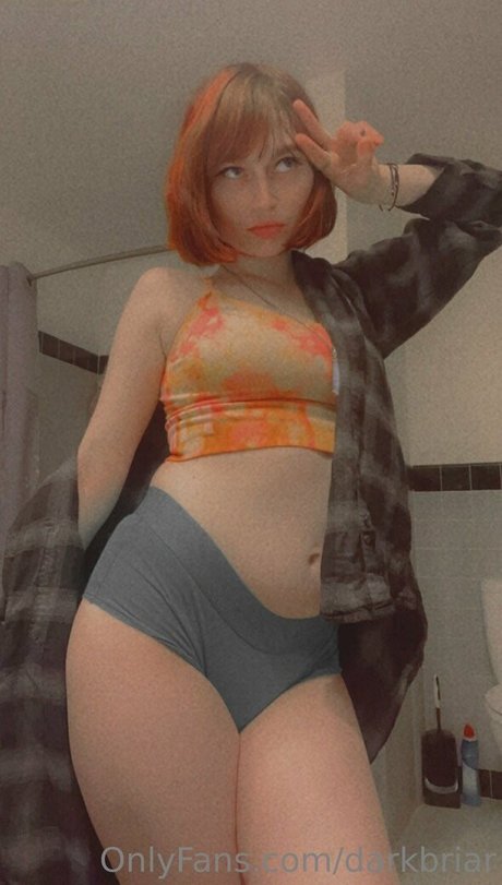 darkbriar 完璧な女優 画像