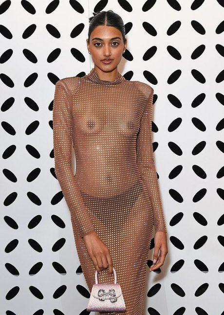 Neelam Gill ヌードスター 画像