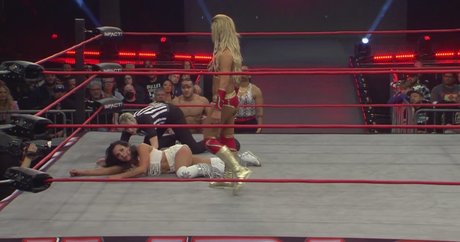 Mickie James かわいいスター ギャラリー