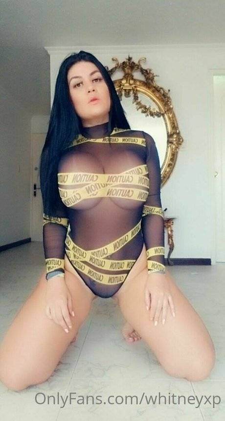 whitneyxp 無料のスター 写真