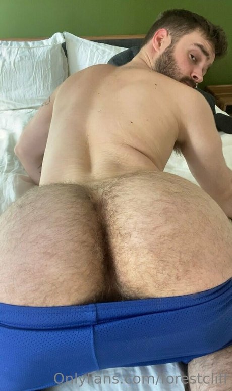 forestcliff ポルノ女優 画像