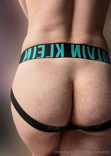 Tinytransdick アートポルノスター 写真