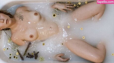 Madsdivitto ホットスター 画像