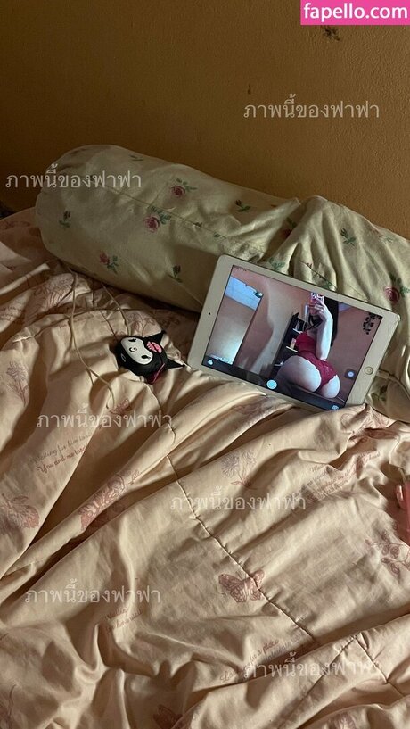 axfa qq 完璧なスター 写真