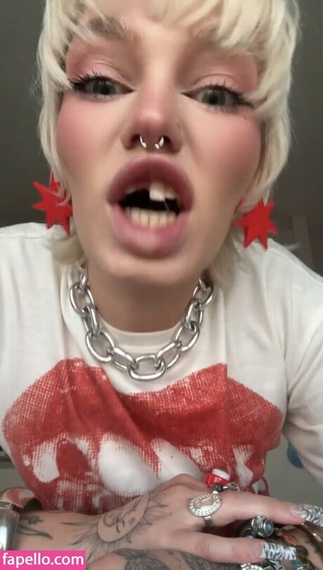 Gtayy STARGIRL 限定モデル 写真