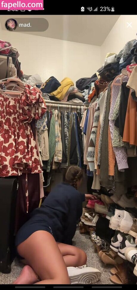 madisons the shit 高品質スター 写真