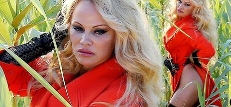 Pam Anderson 可愛い女優 写真
