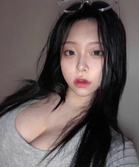 Foamharin トップモデル 写真