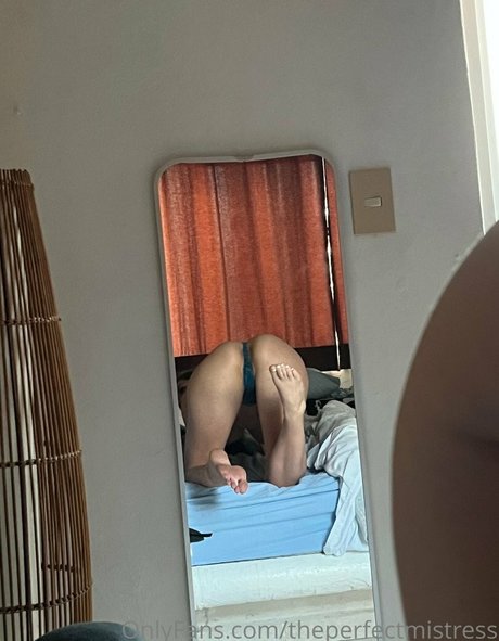 Perfect Mistress スター ギャラリー