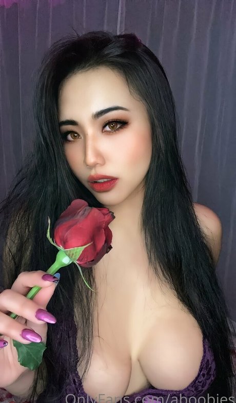 aboobies 美しいスター 画像