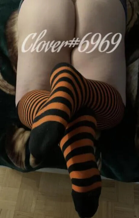 Clover 6969 アダルトスター 写真
