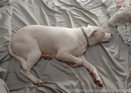 gorgeousgreeneyes HD女優 ギャラリー