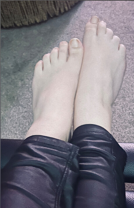 Feet From Florence HDモデル 画像