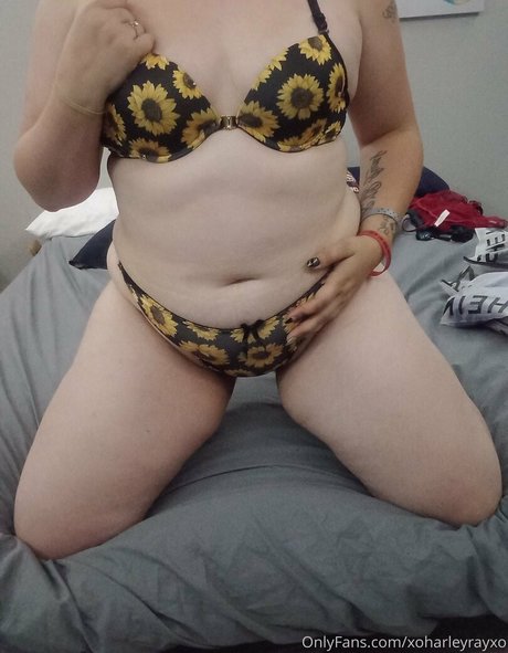 xoharleyrayxo トップ女優 アーカイブ