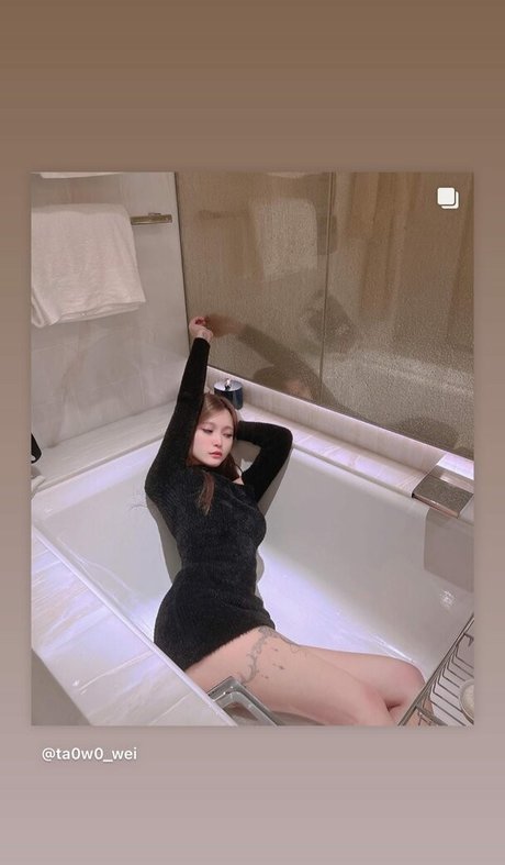 Tako wei 高品質モデル 写真