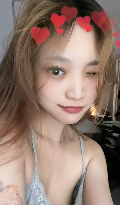 Tako wei HDスター 写真