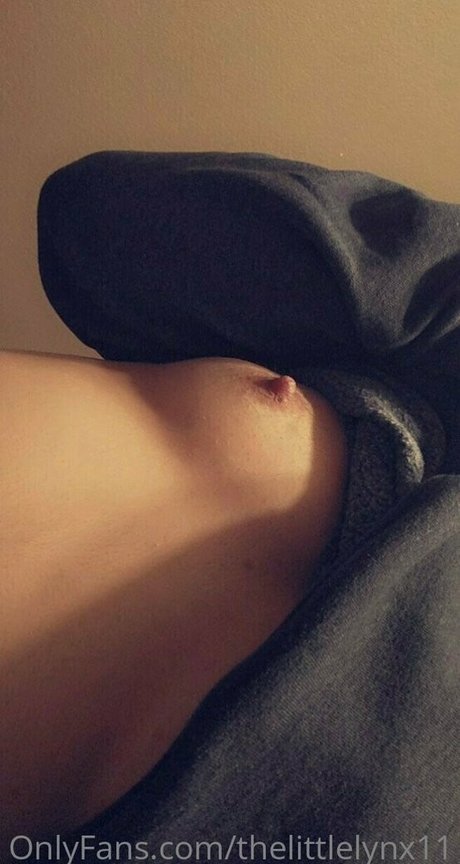 thelittlelynx11 xxxモデル 写真