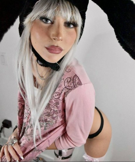 Kate Baum 素敵なスター ギャラリー