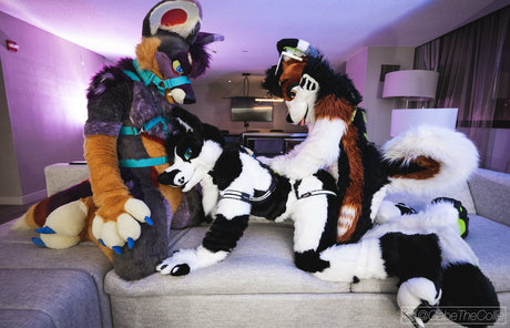 anejo xxx kaii HDポルノスター 画像