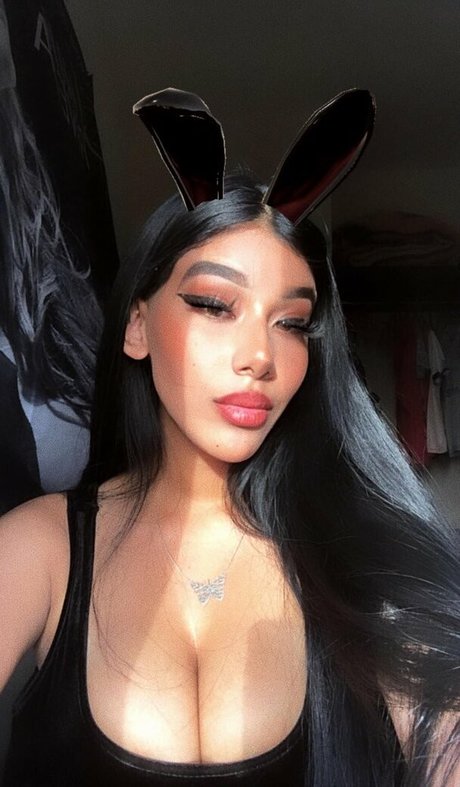 Fernanda V トップスター 写真