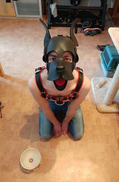 PupDexi ポルノスター ホット 画像