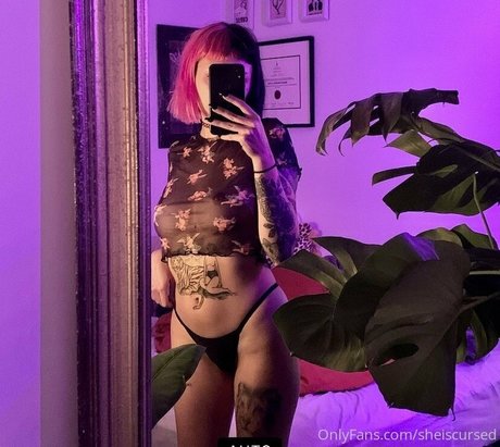 Sheiscursed top profile image