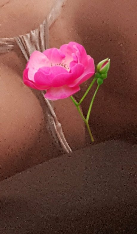 debboracarl かわいいスター 写真