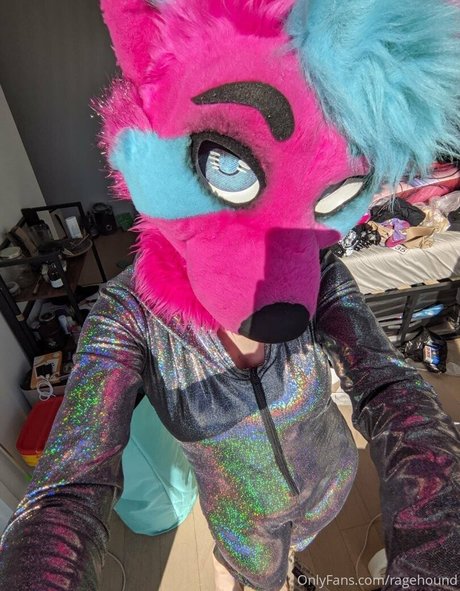 ragehound 最高のポルノスター ギャラリー