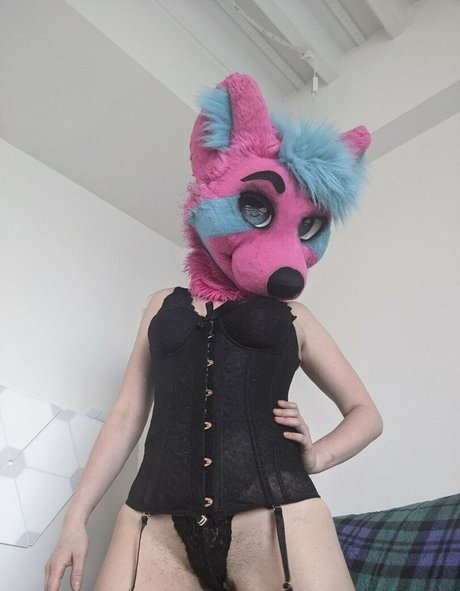 ragehound 高品質のスター ギャラリー