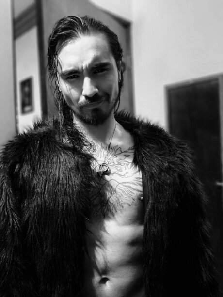 Blackfox ホットスター 写真