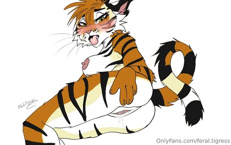 feral tigress 美しいスター 写真