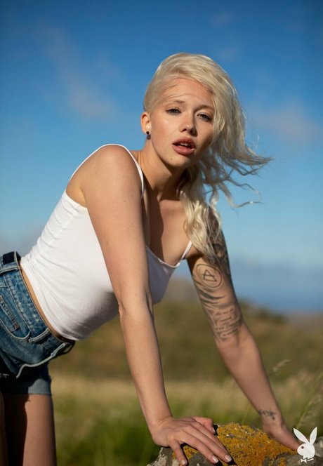 Lisa Modpali XXXモデル 画像