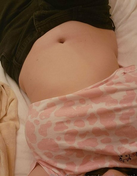 nerdynami 無料スター 写真