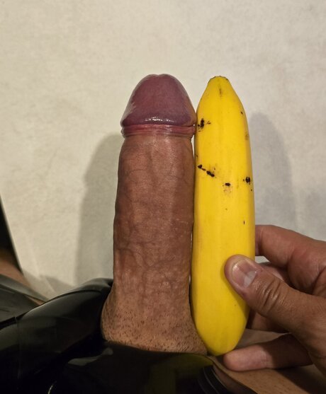 pupbuday 高品質モデル 写真