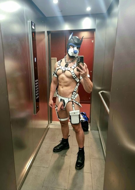 pupbuday 独占ポルノスター 写真