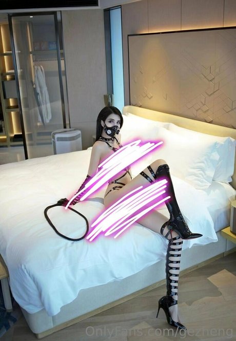 gezheng 無料のスター 写真