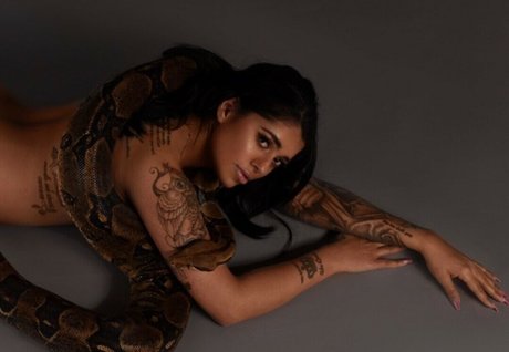 Mikayla Dabash ヌード女優 画像