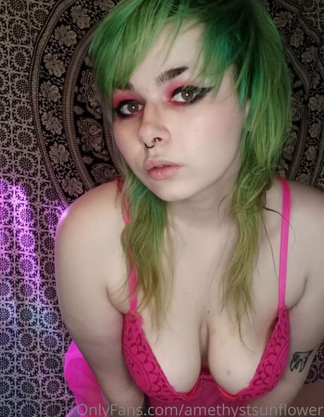 amethystsunflower 高品質のスター 写真
