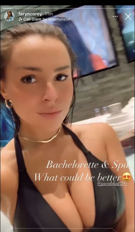 Faryn Corey 完璧な女優 写真