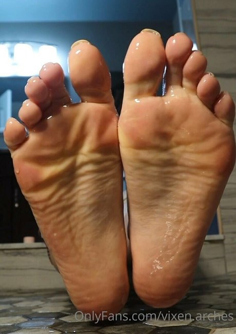 vixen arches スターセックス 写真