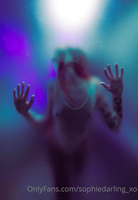 sophiedarling xo 独占スター 写真